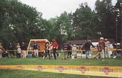 Cairn Terrier Ausstellung